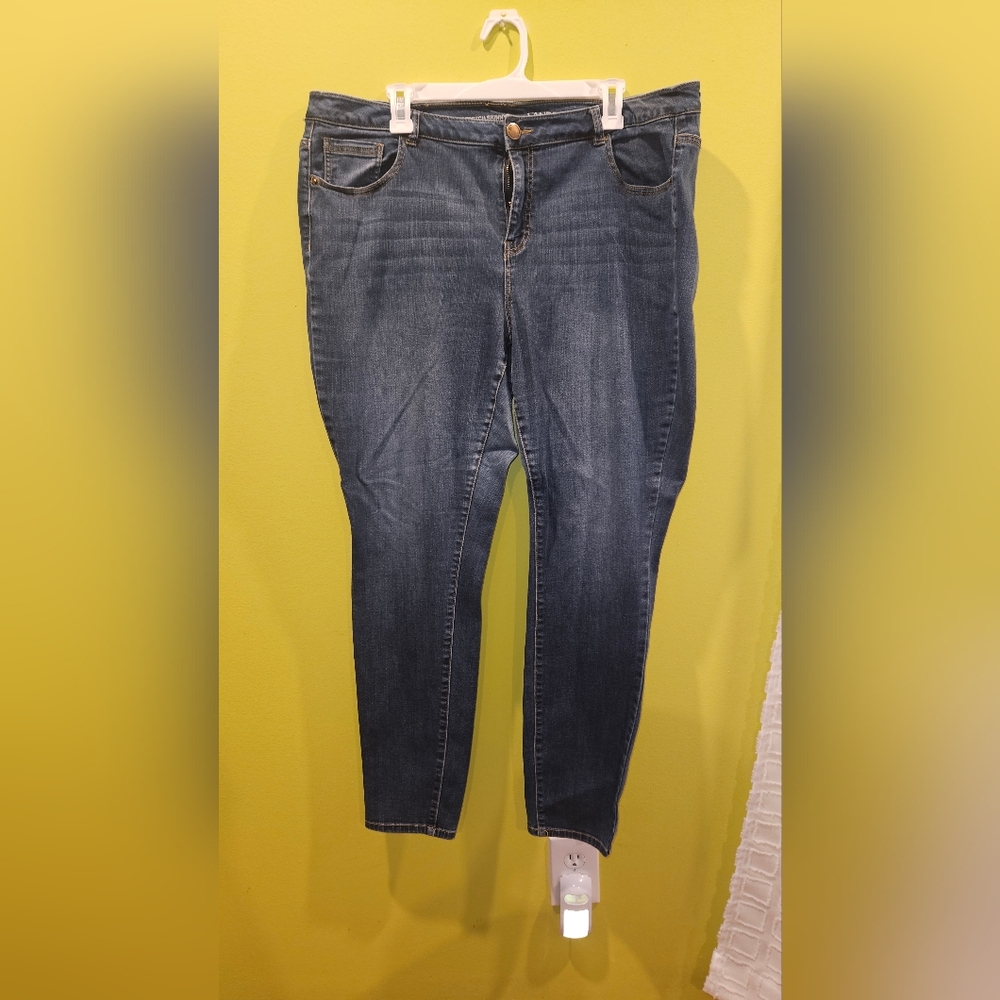 Lane Bryant Blue Skinny Jeans with Distressed Details